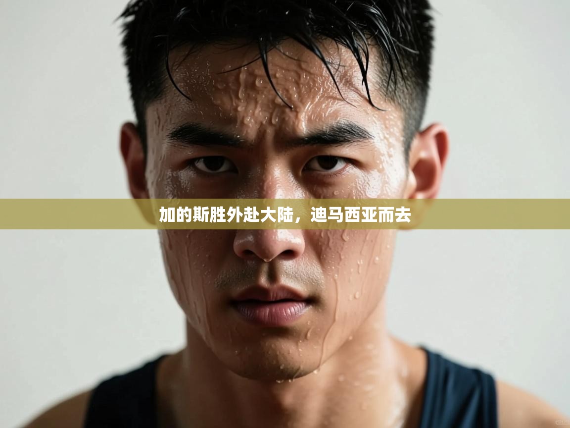 加的斯胜外赴大陆,迪马西亚而去 第1张