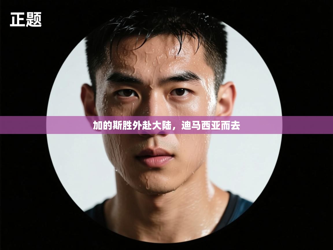 加的斯胜外赴大陆,迪马西亚而去 第2张