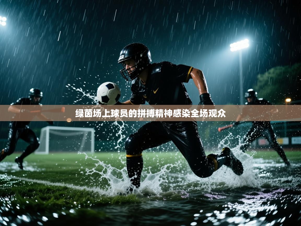 绿茵场上球员的拼搏精神感染全场观众  第2张