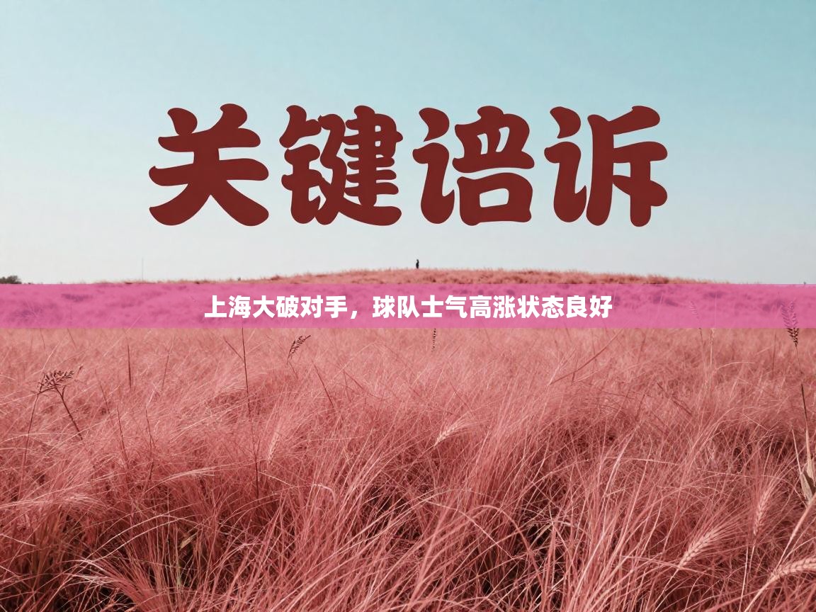 上海大破对手，球队士气高涨状态良好  第2张