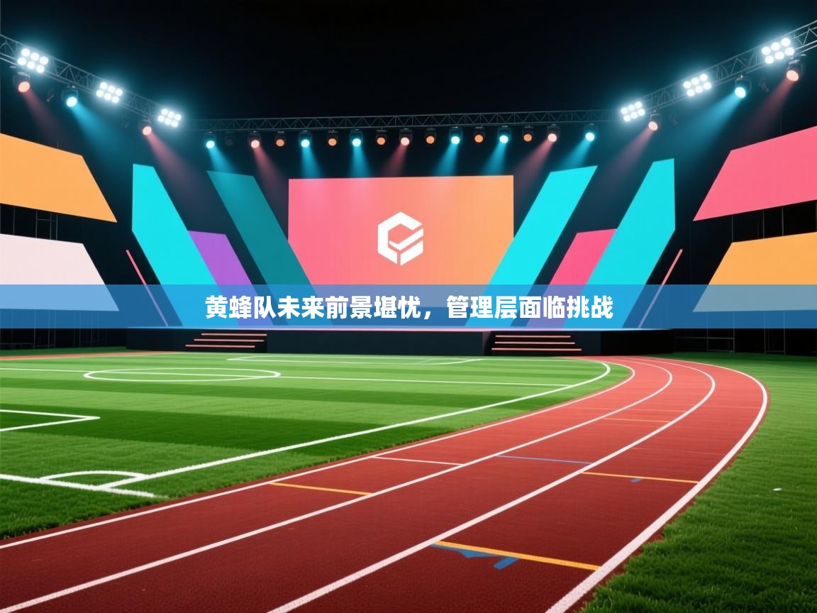 黄蜂队未来前景堪忧，管理层面临挑战  第1张