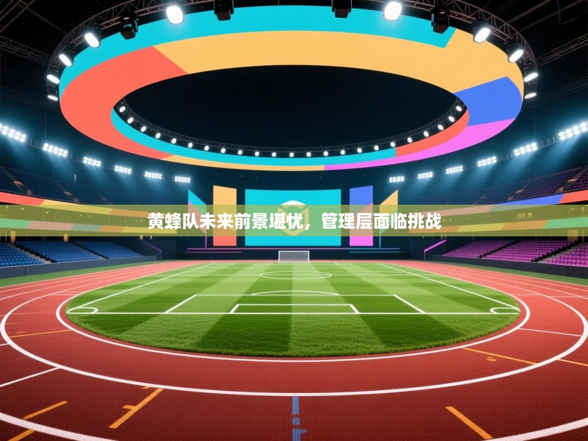 黄蜂队未来前景堪忧，管理层面临挑战  第2张