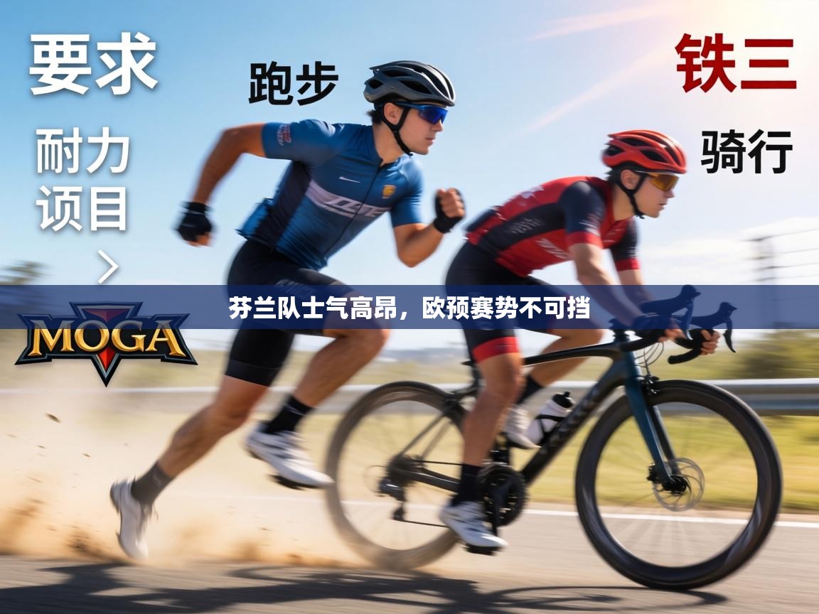 芬兰队士气高昂,欧预赛势不可挡 第1张